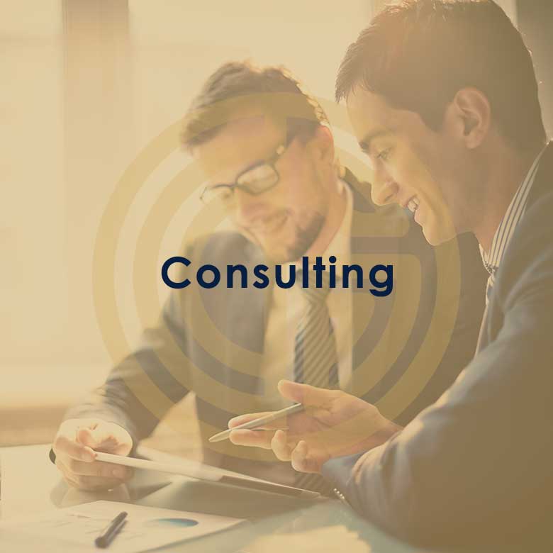 Consulting2